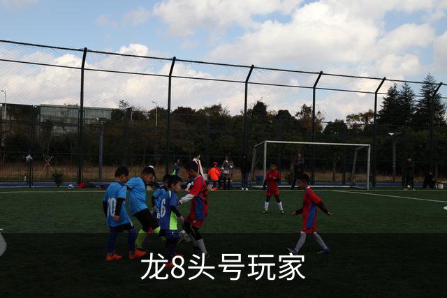 龙8头号玩家公司介绍图片